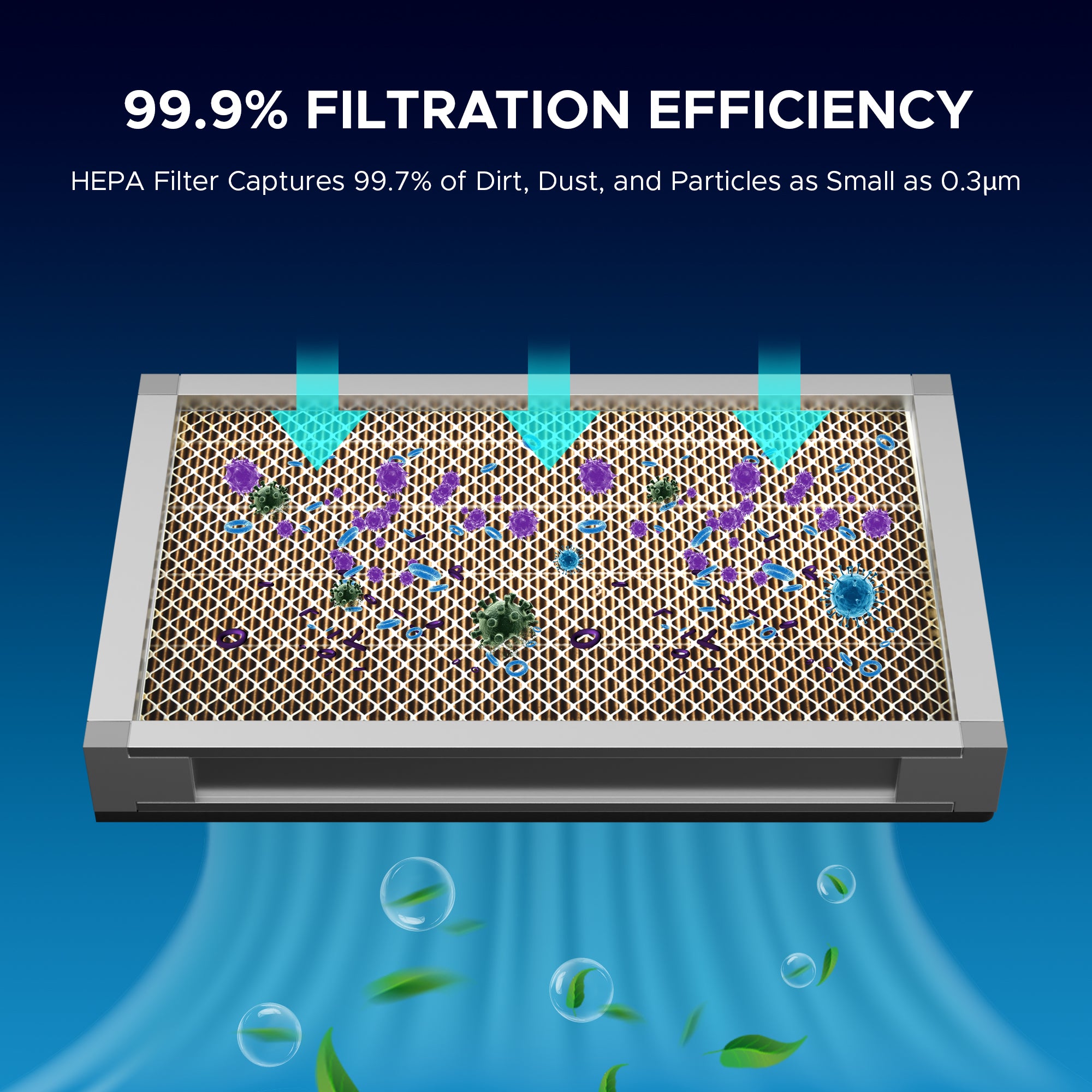 HEPA Filter Set